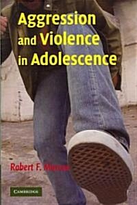 Aggression and Violence in Adolescence (Paperback)