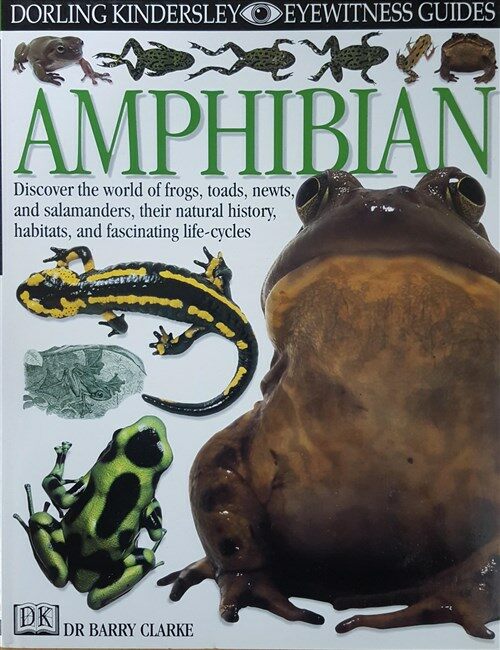 [중고] DK Eyewitness Books: Amphibian (Hardcover, Revised)
