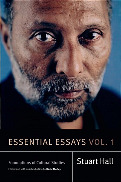 Essential Essays, Volume 1: Foundations of Cultural Studies (Paperback)