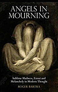 Angels in Mourning : Sublime Madness, Ennui and Melancholy in Modern Thought (Hardcover)