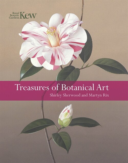 Treasures of Botanical Art (Paperback)