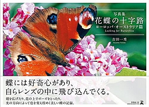 寫眞集 花蝶の十字路 ヨ-ロッパ·オ-ストラリア篇 Looking for Butterflies (單行本)