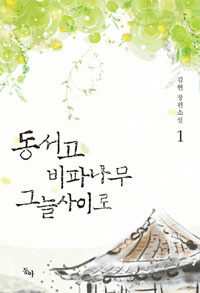 동서고 비파나무 그늘사이로 :김현 장편소설