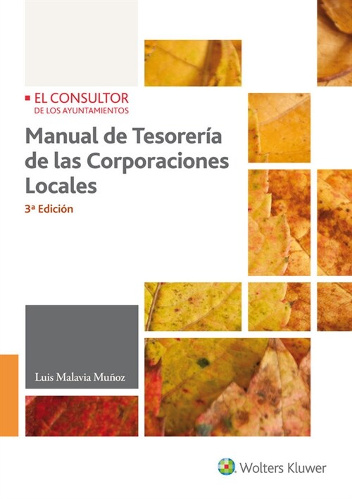 MANUAL DE TESORERIA DE LAS CORPORACIONES LOCALES (3.  EDICION) (Paperback)