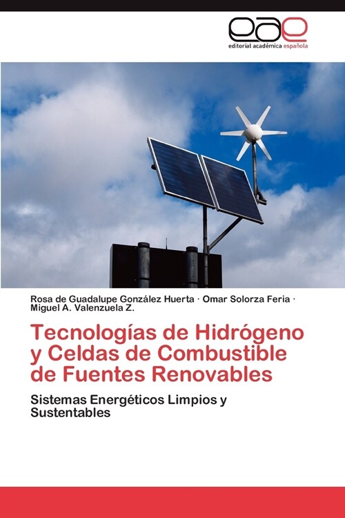 TECNOLOGIAS DE HIDROGENO Y CELDAS DE COMBUSTIBLE DE FUENTES RENOVABLES (Paperback)