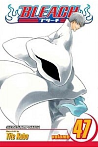 Bleach, Vol. 47 (Paperback)