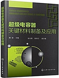 超級電容器關鍵材料制備及應用 (平裝, 第1版)