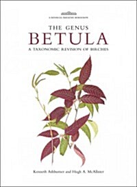 Botanical Magazine Monograph: The Genus Betula : A Taxonomic Revision of Birches (Hardcover)