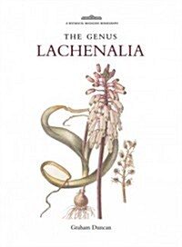 Botanical Magazine Monograph: The Genus Lachenalia : The Genus Lachenalias (Hardcover)