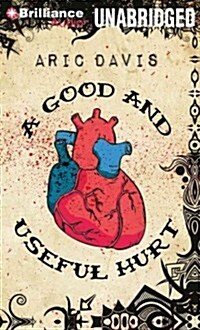 A Good and Useful Hurt (Paperback)
