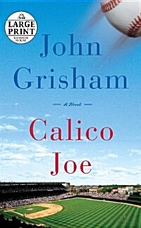 Calico Joe (Paperback, Large Print)