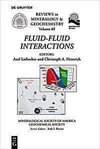 FLUID-FLUID INTERACTIONS (Paperback)