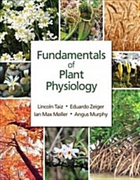Fundamentals of Plant Physiology (Paperback)