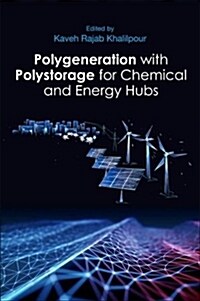 Polygeneration with Polystorage: For Chemical and Energy Hubs (Paperback)