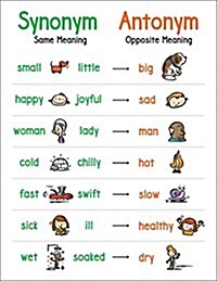 Anchor Chart Synonym & Antonym (Paperback)