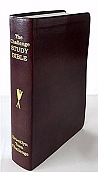 The CEV Challenge Study Bible - Flexi Bind (Paperback)
