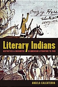 Literary Indians: Aesthetics and Encounter in American Literature to 1920 (Hardcover)