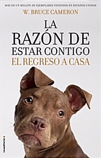 La Razon de Estar Contigo. El Regreso a Casa (Paperback)