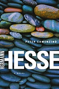 Peter Camenzind (Paperback)
