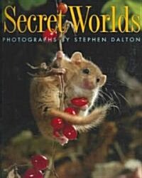 Secret Worlds (Paperback)