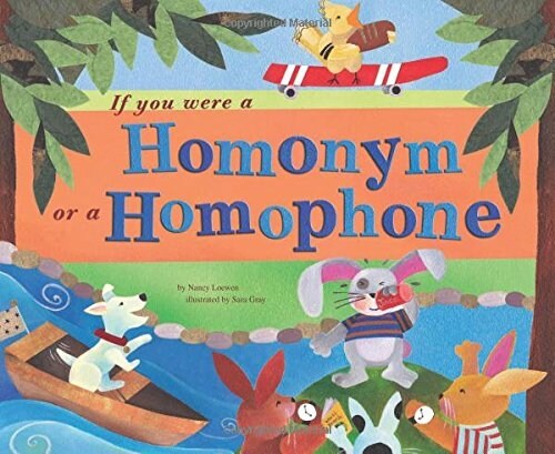If You Were a Homonym or a Homophone (Paperback)