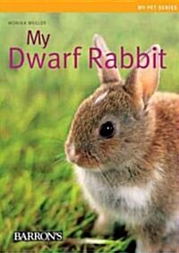 My Dwarf Rabbit (Paperback)