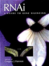 Rnai: A Guide to Gene Silencing (Hardcover)