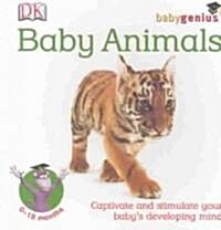 [중고] Baby Animals (Board Book)