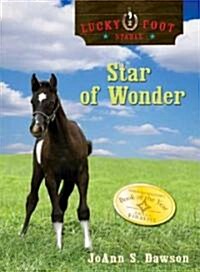 [중고] Star of Wonder (Paperback)