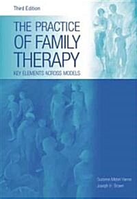 The Practice of Family Therapy (Paperback)