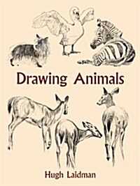 Drawing Animals (Paperback)
