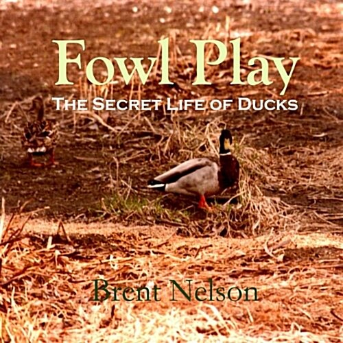 Fowl Play: The Secret Life of Ducks (Paperback)