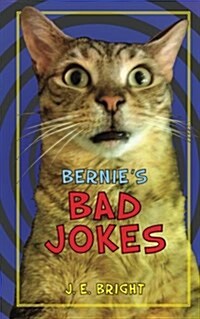 Bernies Bad Jokes (Paperback)