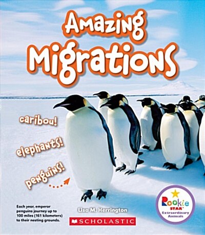 Amazing Migrations: Caribou! Elephants! Penguins! (Rookie Star: Extraordinary Animals) (Hardcover, Library)