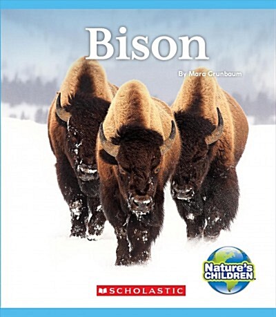 Bison (Natures Children) (Hardcover, Library)