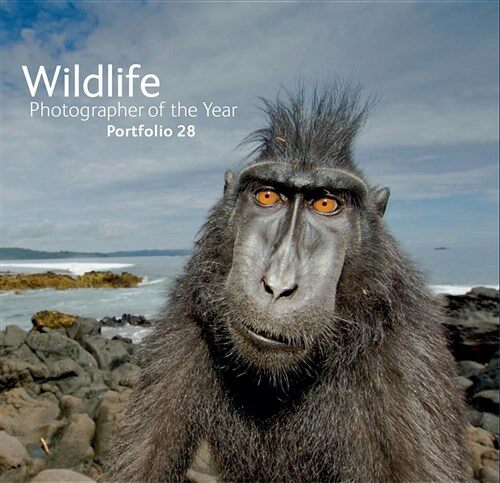 Wildlife Photographer of the Year: Portfolio 28 (Hardcover)