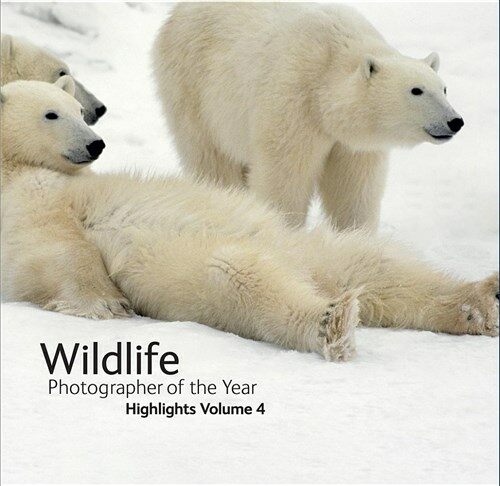Wildlife Photographer of the Year: Highlights Volume 4 (Paperback)