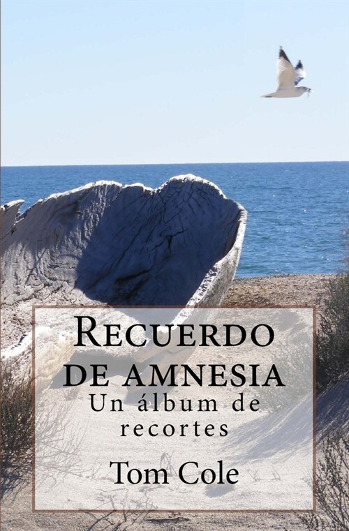 Recuerdo de Amnesia: Un Album de Recortes (Paperback)