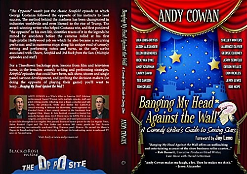 Banging My Head Against the Wall: A Comedy Writers Guide to Seeing Stars (Paperback)