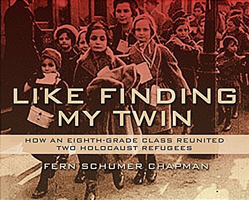 Like Finding My Twin (Paperback)