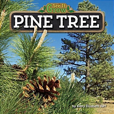 Pine Tree (Library Binding)