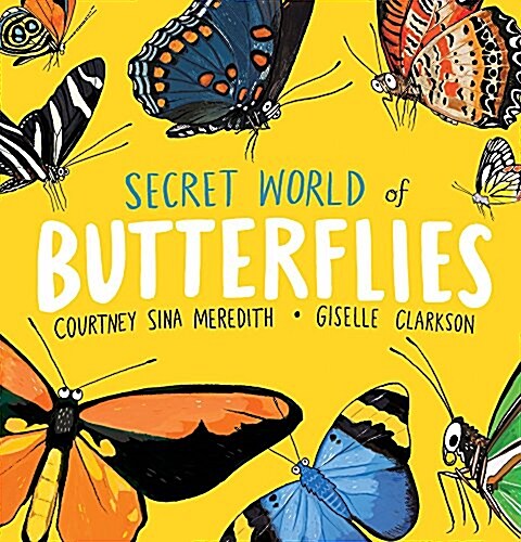 Secret World of Butterflies (Paperback)