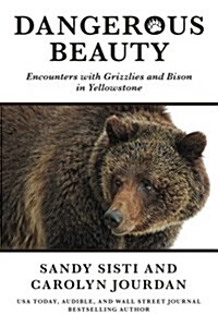 Dangerous Beauty: Encounters with Grizzlies and Bison in Yellowstone (Paperback)