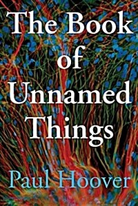 The Book of Unnamed Things (Paperback)