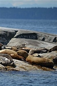 Seals Notebook: 150 Lined Pages, Softcover, 6 X 9 (Paperback)