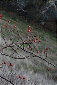 Berries Notebook: 150 Lined Pages, Softcover, 6 X 9 (Paperback)