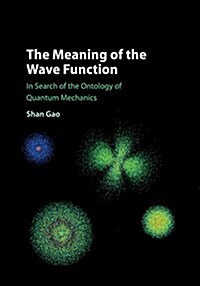 The Meaning of the Wave Function : In Search of the Ontology of Quantum Mechanics (Paperback)