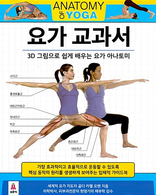 요가 교과서