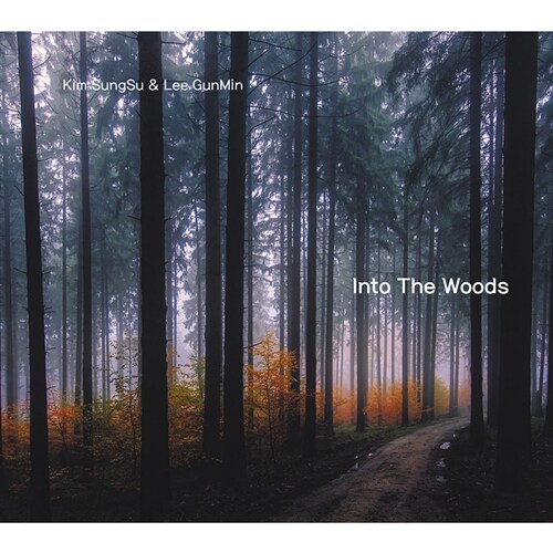 김성수 & 이건민 - Into The Woods
