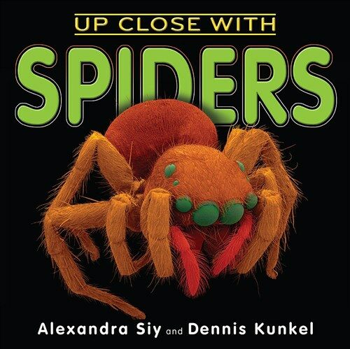Up Close With Spiders (Paperback)